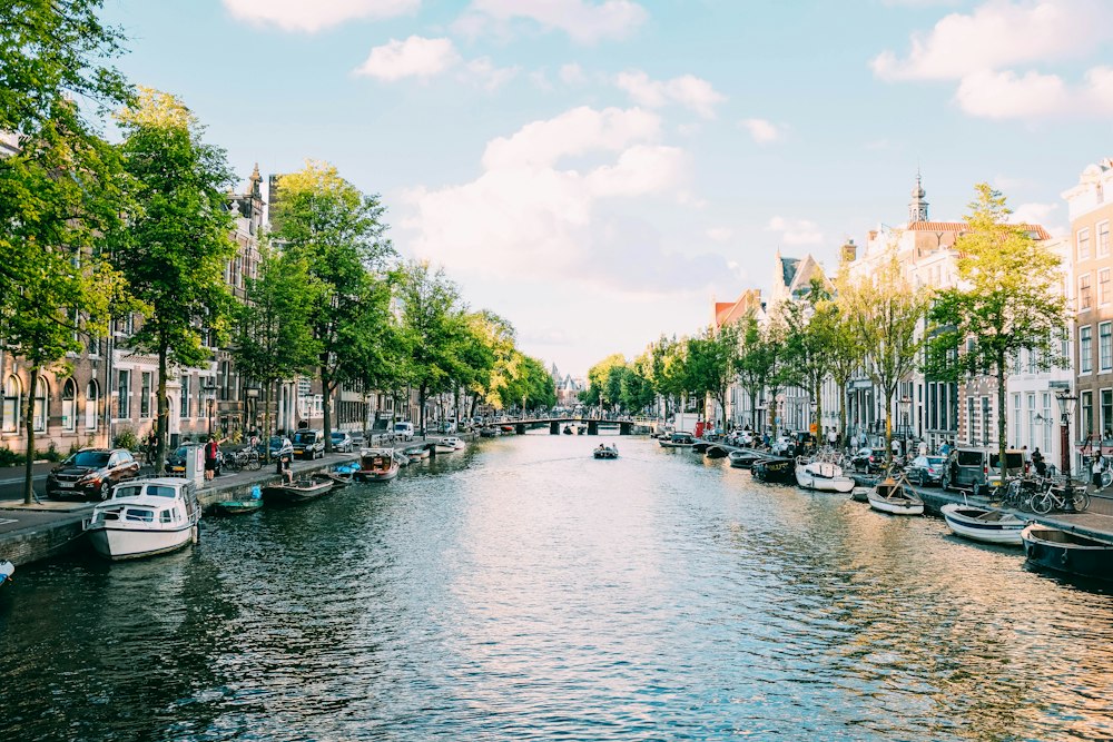Amsterdam grachten bezorggebied